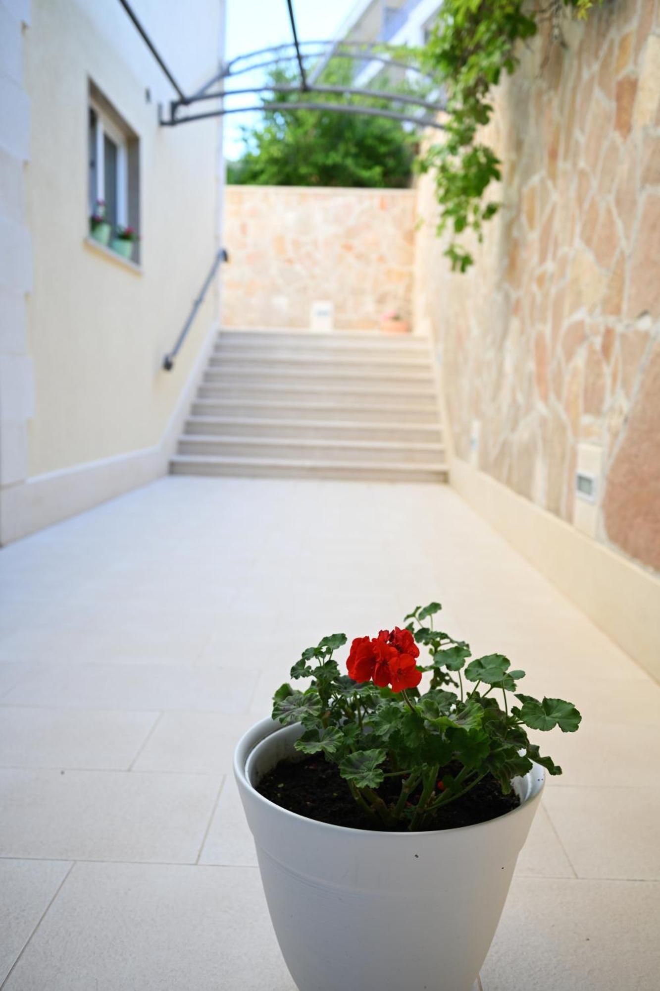 Hvar Villa Malisko Apartments フヴァル エクステリア 写真
