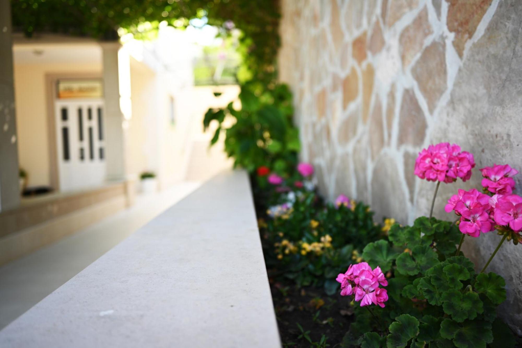 Hvar Villa Malisko Apartments フヴァル エクステリア 写真