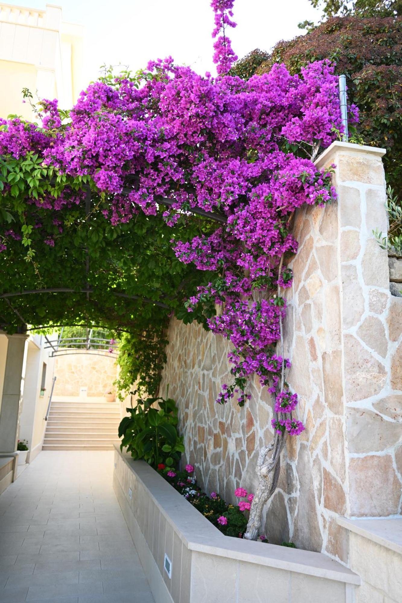 Hvar Villa Malisko Apartments フヴァル エクステリア 写真